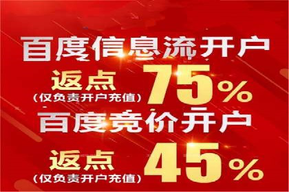 百度竞价SEM案例：如何利用数据分析优化广告效果